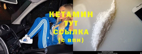 шишки Беломорск