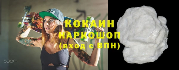 шишки Беломорск