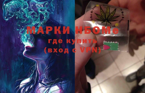 шишки Беломорск