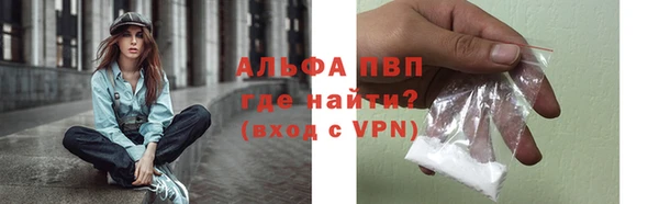 шишки Беломорск