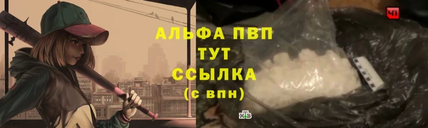шишки Беломорск
