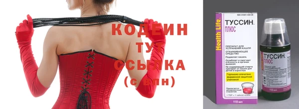 шишки Беломорск
