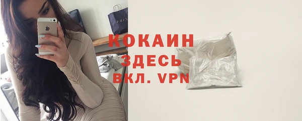шишки Беломорск