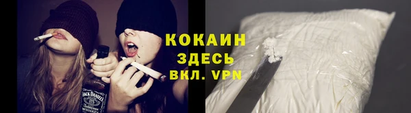 шишки Белоозёрский
