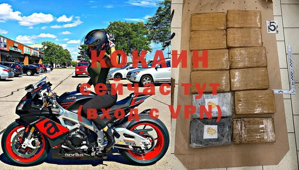 шишки Белоозёрский