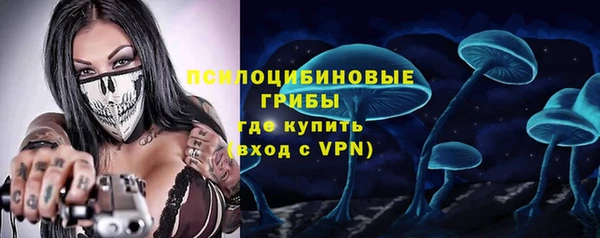 шишки Белоозёрский