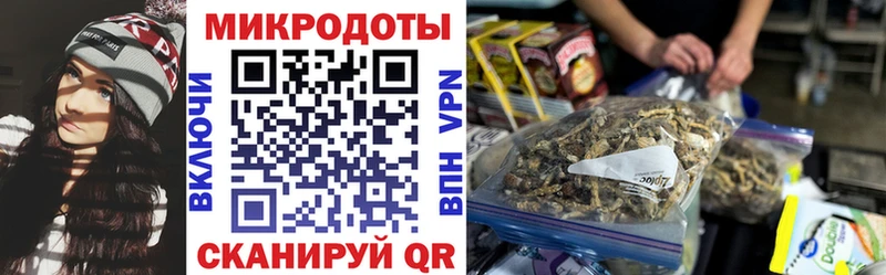 Галлюциногенные грибы мицелий  хочу   Вятские Поляны 